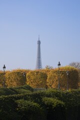 Obraz premium The Eiffel Tour from the Tuileries Garden at fall time.