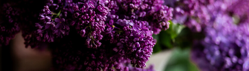 Obraz premium Banner. Beautiful bouquet of purple lilac flowers in a white vase. Floral decor for home decor