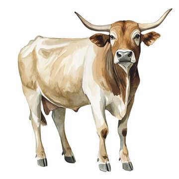 Banteng A Beautifully Detailed, watercolor clipart showcasing whimsical details and harmonious color flow, isolated on a white background.