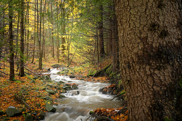 Jesienny potok. © Adam