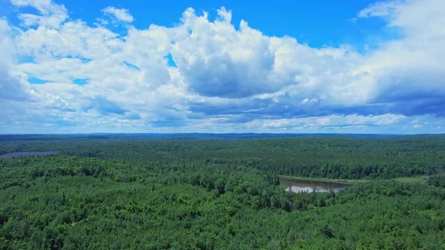 Cinematic epic aerial drone view over deep wild forest tree crowns landscape. Curved overland off road. Epic hills, rivers and swamp lakes in green lush of wilderness in Bancroft Ontario Canada.