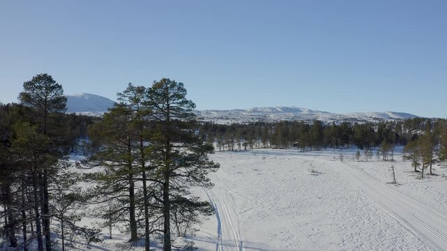 Aerial drone flying over snowy Norwegian mountain forest landscape in winter sunnlight.