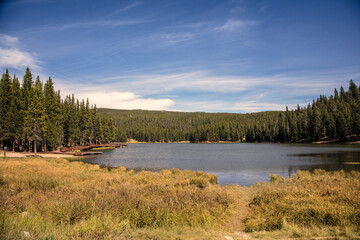 Mountain Lake with Pine Forest and Dock Reflection in Wyoming
