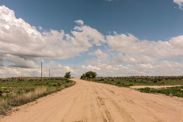 Winding Dirt Road Through Open High Plains Landscape