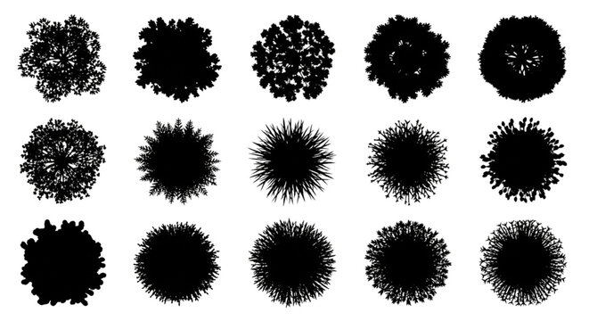 Textured Ink Brush Vector Top View Tree Silhouettes Set for Landscape Architecture