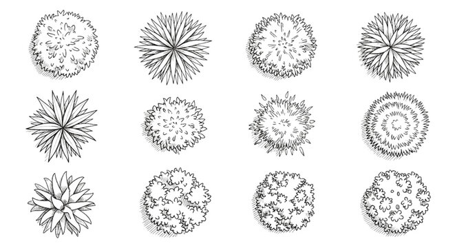 Hand-Drawn Ink Sketch Vector Set: Top View Plants and Bushes in Architectural Doodle Style