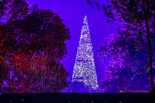 Albero di Natale moderno con luci 