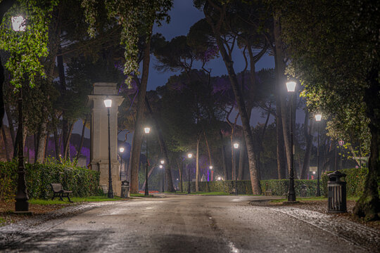 Viale notturno nel parco con lampioni accesi