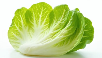 Fresh green lettuce leaf isolated on white background. Healthy raw vegetable for salads and cooking. Crisp plant with visible veins.