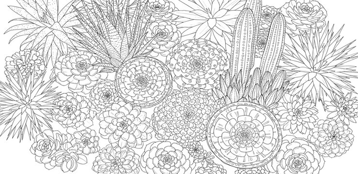 An intricate illustration featuring various flowers and plants in a detailed botanical arrangement