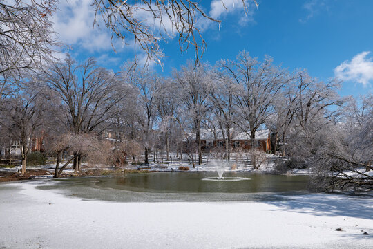 Frozen Trees Around A Half Frozen Pond In The Suburbs