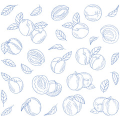 Obraz premium Lineal Hand-Drawn Plums and Apricots with Leaves Sketch Collection