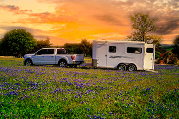 truck and horse trailer in bluebonnet field in Texas © Terri Cage 