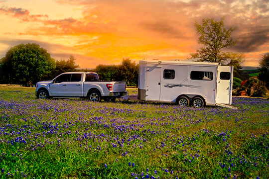 truck and horse trailer in bluebonnet field in Texas