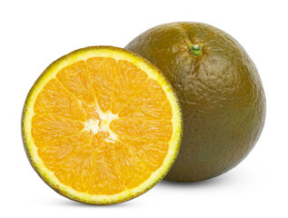 Whole fresh chocolate navel orange citrus fruit and cut in a slice isolated.