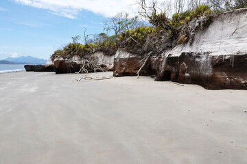 A stretch of beach with layers of rocks, sand over these rocks, and vegetation on the sand, evidencing the advance of the sea