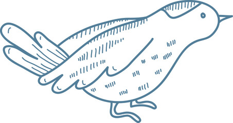 Obraz premium Bird Standing Sketch Doodle