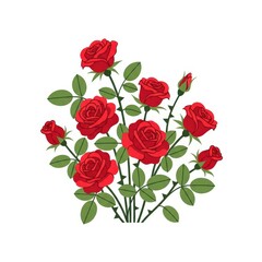Fototapeta premium Red Roses Bouquet Isolated White Background.