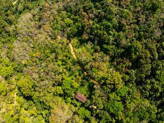 Aerial view Drone camera top view rainforest trees ecology with healthy environment concept and summer background,Green environment background