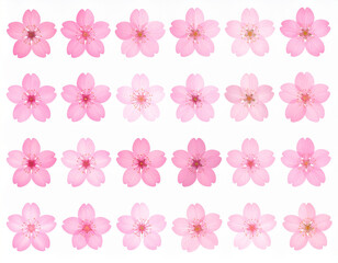 桜の花のイラストアイコンセット/Cherry blossom illustration icon set