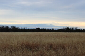 Golden prairie grass under layered pastel storm clouds with dark tree line horizon, rural countryside landscape showing seasonal transition and dramatic atmospheric sky.