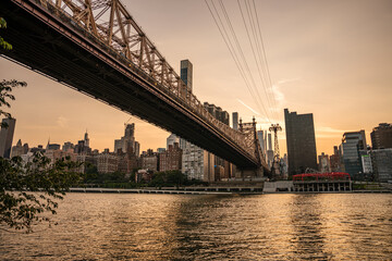 The Queensboro Bridge stretches across the East River with Manhattan's skyline in the background. A warm sunset sky reflects beautifully on the water below.