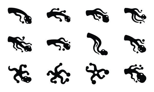 Tadpole amphibian larva aquatic animal baby metamorphosis life cycle vector illustration silhouette icon