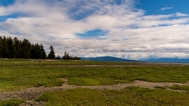 A broad stretch of sand and beach grass extends across Rathtrevor Beach Provincial Park beneath a partly cloudy blue sky.