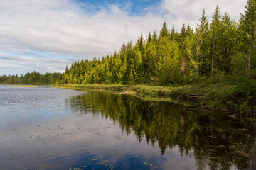Obraz premium Quiet Keta Lake scene on Vancouver Island with still water mirroring clouds and blue sky beside evergreen forest.