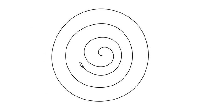 Minimalist Hand Drawn Spiral Line Animation on White Background.