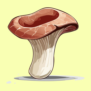Broad umber mushroom cap for mycology field study guides and sustainable agriculture workshop materials - Vector Illustration