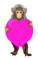 Baby monkey with heart object	
