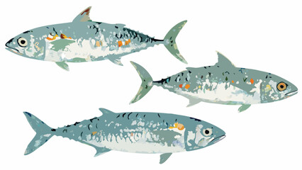 Illustration of three mackerel fish with detailed speckled patterns