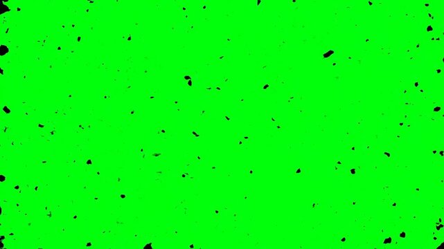 Green Screen with Black Specks Animation.