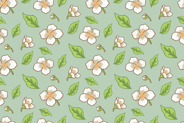 Jasmine Flowers and Leaves Seamless Pattern