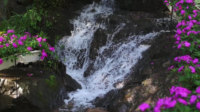 Vibrant Brook With Violet Flower Border, Lively Splash Over Rocks And Sunlit Foliage, Gardener Design Inspiration And Lively Outdoor Mood, Rustic Stone And Bright Petals