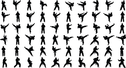 Martial arts fighter silhouettes set showing karate taekwondo kicks punches and combat training poses illustration © Monteza