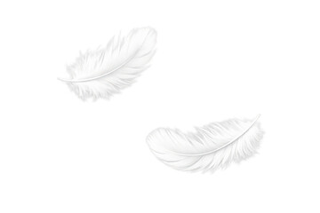 Two white fluffy feathers floating smoothly through the air, softly drifting down on a transparent background