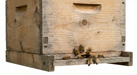 A wooden beehive with bees buzzing around it, offering a glimpse into the vital world of honeybees. 