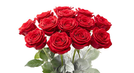 Elegant Red Roses Bouquet in Studio Setting - Floral Photography on White Background