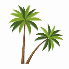 Two Green Palm Trees Isolated on White Background.