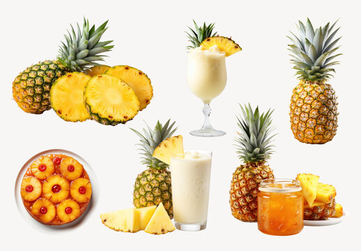 Tropical Pineapple Fruit Variety Display Element Set