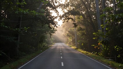 Obraz premium Scenic view of road disappearing into bright light between trees at dawn or dusk
