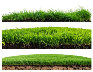 Firefly_Meat carving knifes isolated on transparent background. PNG , se of - Firefly_Patch of grass isolated on transparent background, Set of  (2)