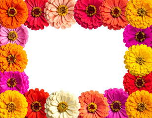 Firefly_Chic wicker hanging egg chair with cozy white cushions showcased against a transparen - Firefly_colorful zinnia blooms as a frame border, isolated with negative space for layouts  (3)