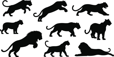 Black big cat silhouette collection, lion and panther predator vector set, leaping and prowling poses, cad drawing flat vector illustration, nature, animal,