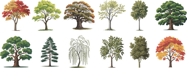 Collection of various watercolor deciduous and evergreen trees with different foliage colors © Mobasshara