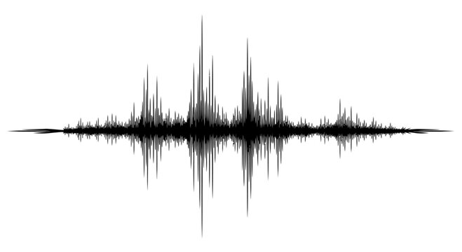 Black and white sound wave or earthquake seismograph.