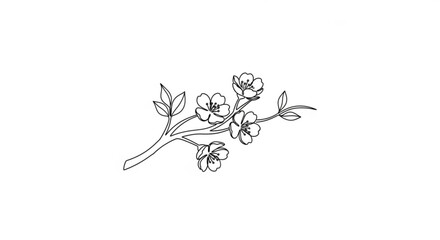 Black line drawing of a blooming cherry blossom branch with flowers and leaves on white background