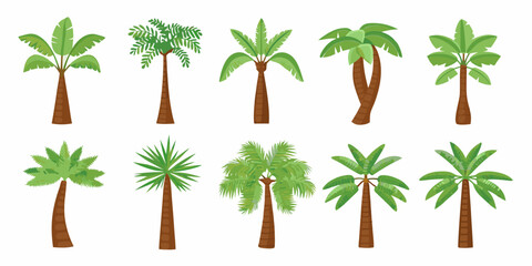 A colorful collection of various palm tree shapes and sizes illustrated © Rina